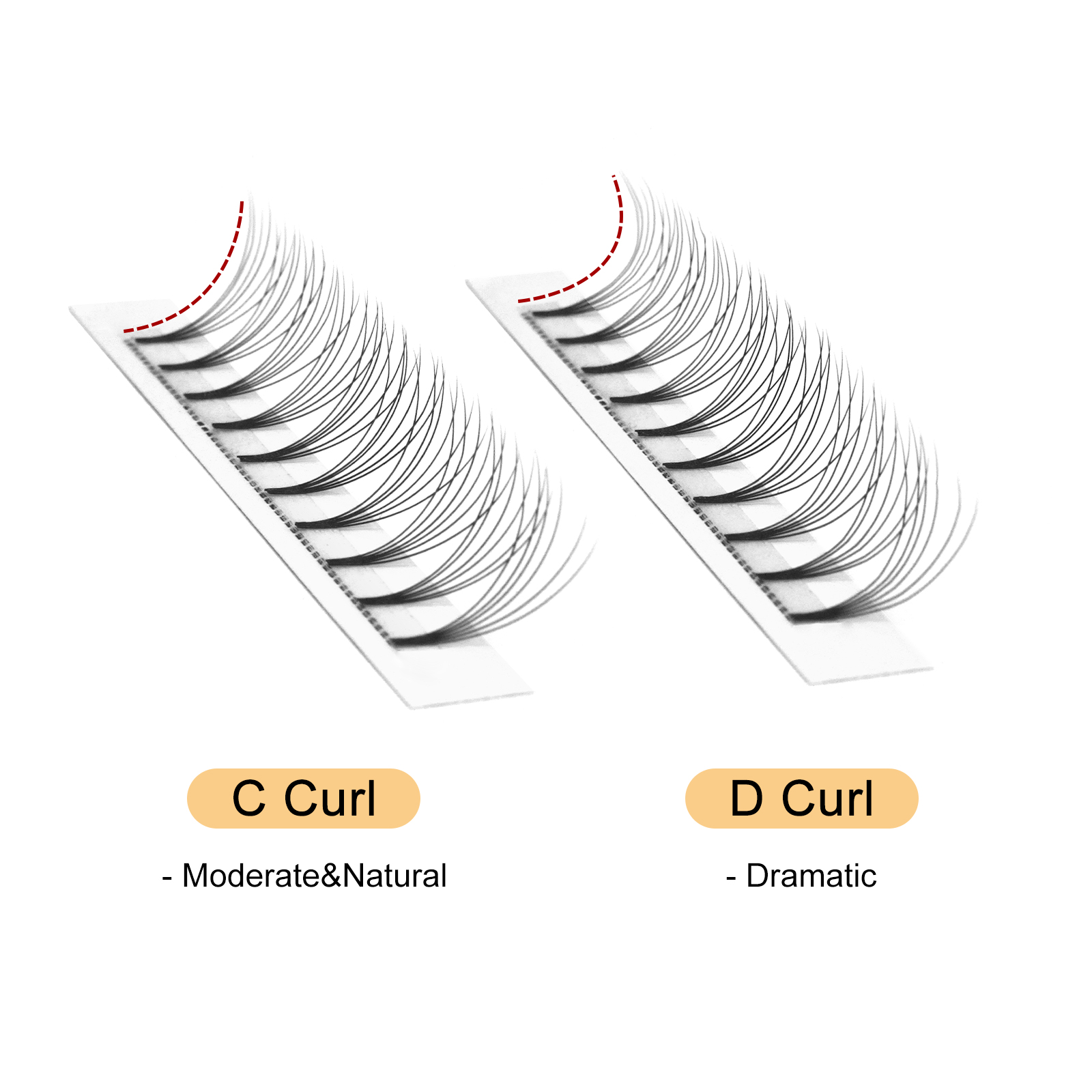 Quewel Premade Fans Lashes 8D/ - огляд і ціна Eyelash Extension C Curl