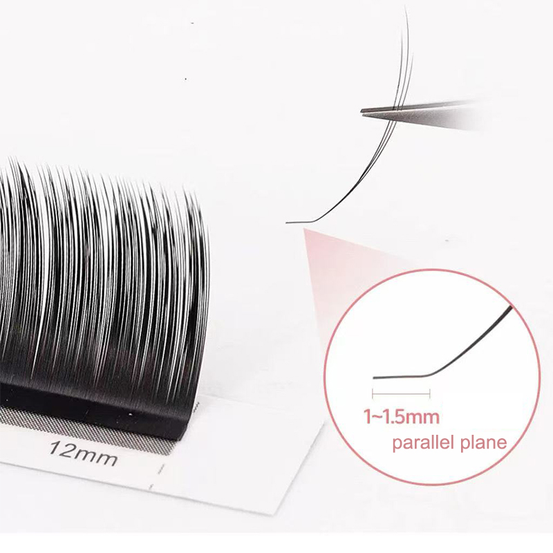 dream ballet Camellia Lashes w - огляд і ціна Eyelash Extension C Curl